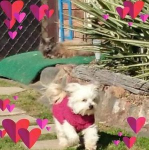 Meet your Posher, Leanne